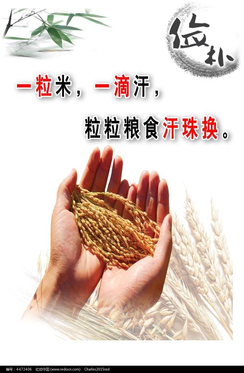 哪里能办营业执照